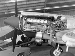 Curtiss_Warhawk