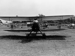 WACO IBA