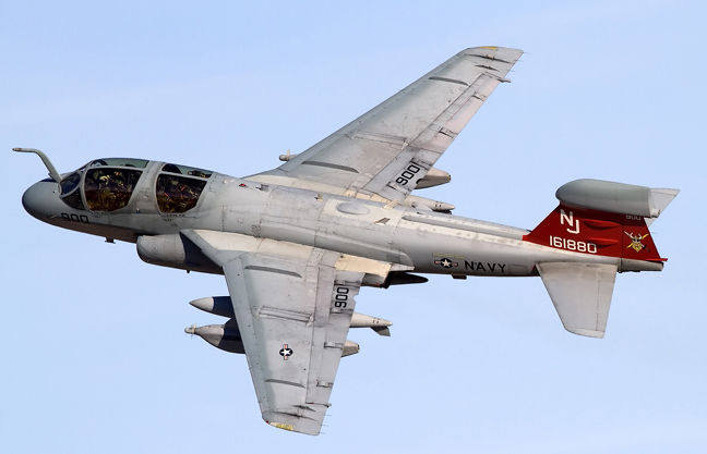 grumman ea6b prowler 27in illus